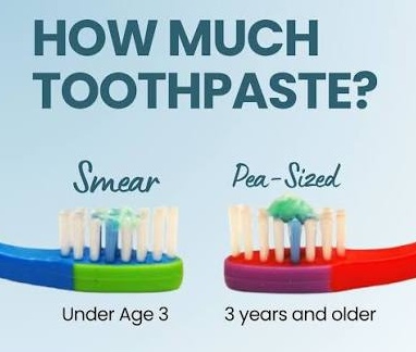 How much toothpaste? A tiny smear on a toothbrush for children under age 3; a pea-sized amount for ages 3 and older.
