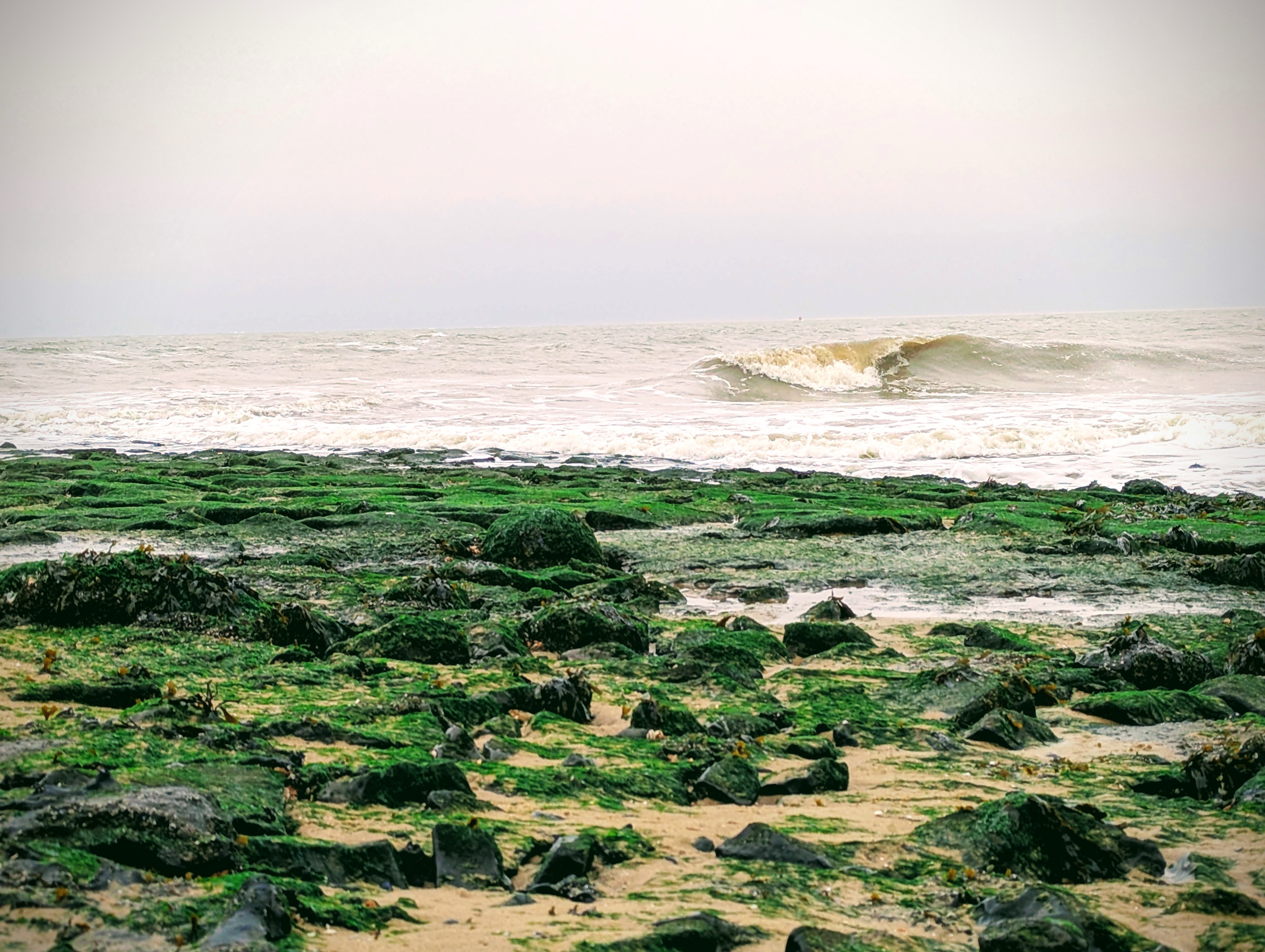 Waves washing toward green, seaweed-covered rocks beneath a soft, pale sky